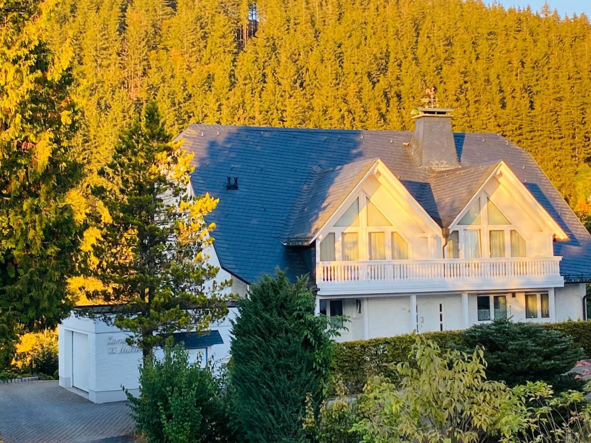 Landhaus Mühlenberg Willingen  Exterior foto